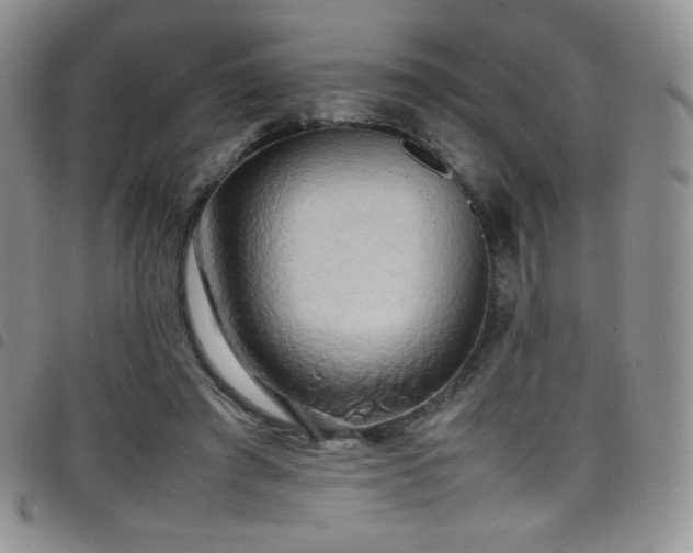 X0000099230401200804241457