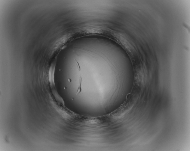 X0000099230402200804241457