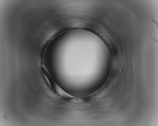 X0000099230403200804241457