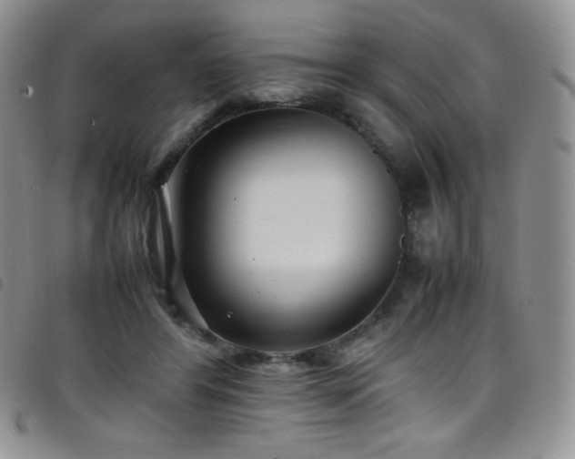 X0000099230404200804241457