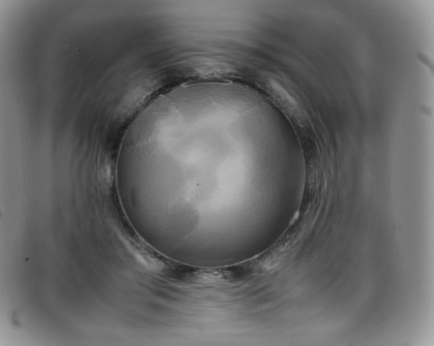 X0000099230405200804241457