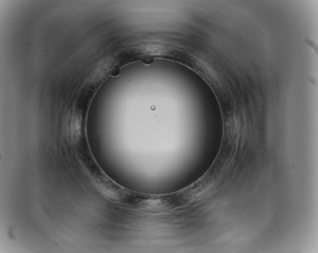 X0000099230406200804241457