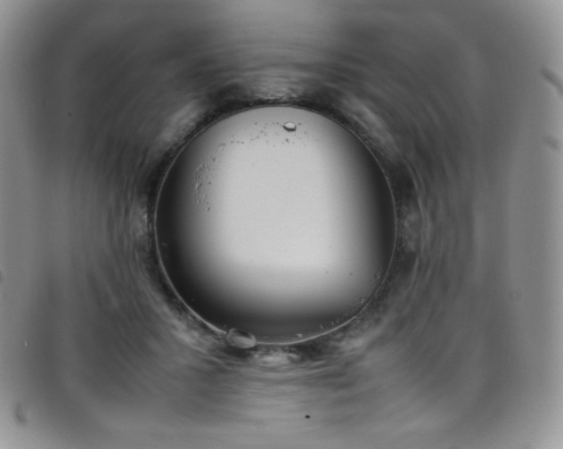 X0000099230407200804241457