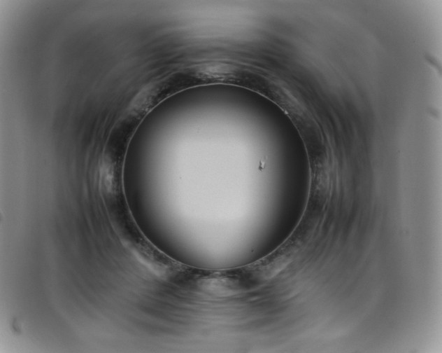 X0000099230408200804241457