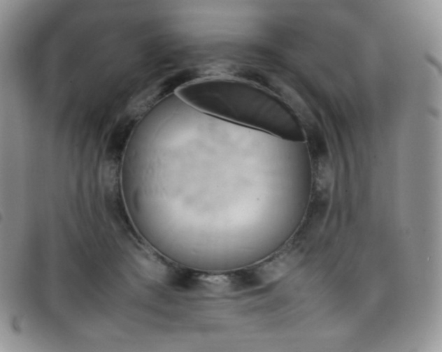 X0000099230409200804241457