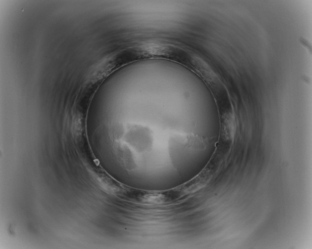 X0000099230410200804241456