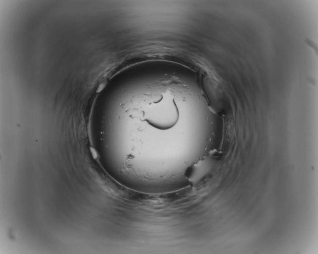 X0000099230411200804241456