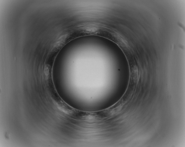 X0000099230412200804241456