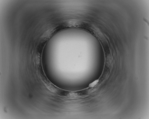 X0000099230413200804241456