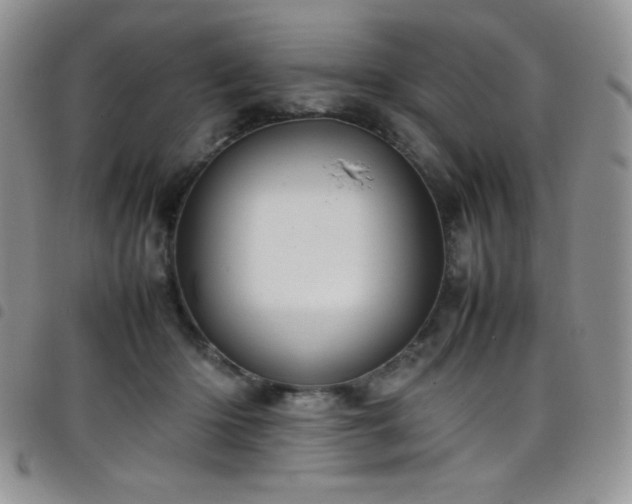 X0000099230414200804241456