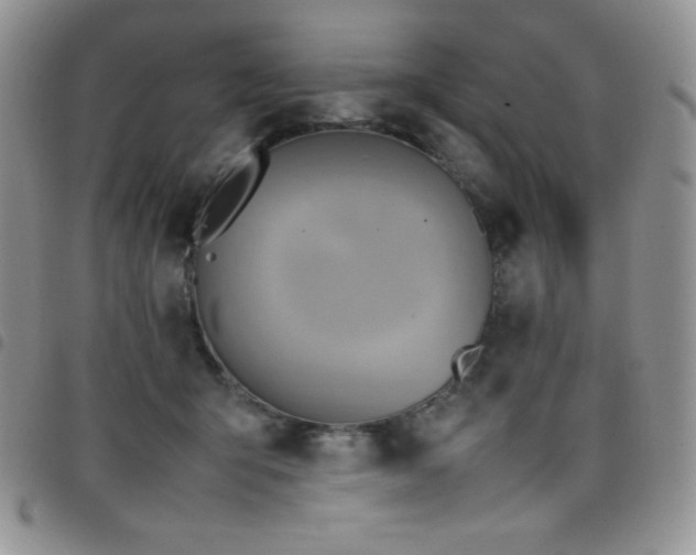 X0000099230415200804241456