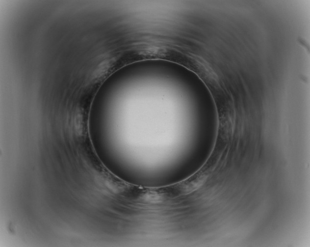 X0000099230416200804241456