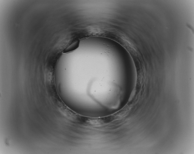 X0000099230417200804241456