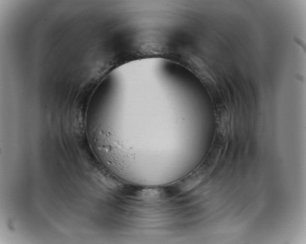 X0000099230418200804241456