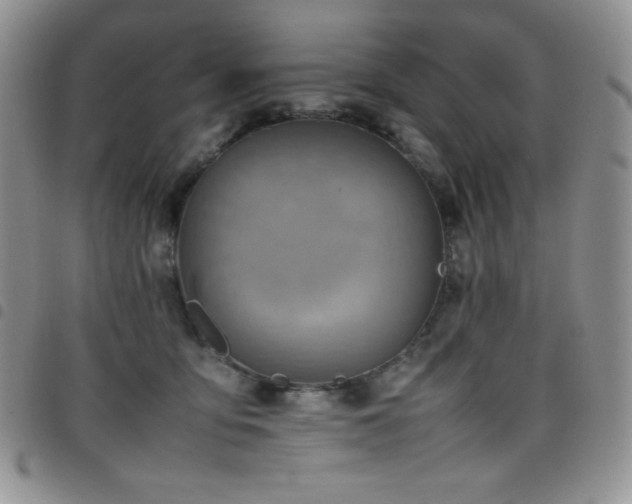 X0000099230419200804241456