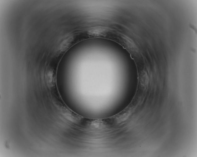 X0000099230420200804241456