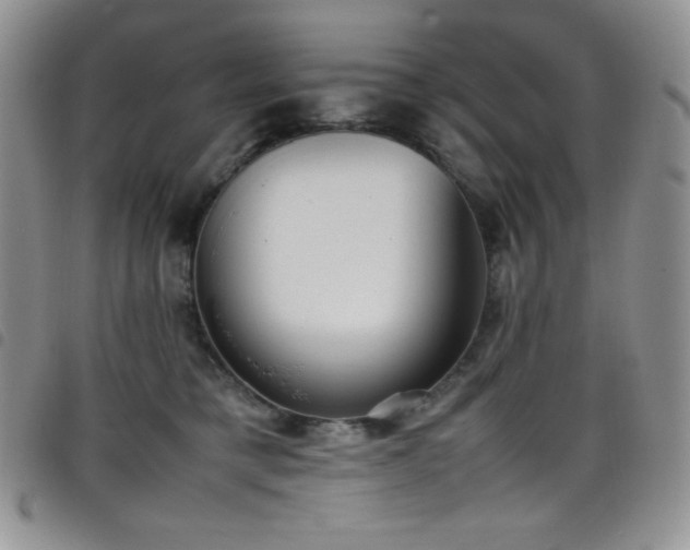 X0000099230421200804241456