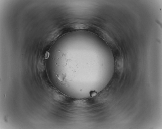 X0000099230422200804241456