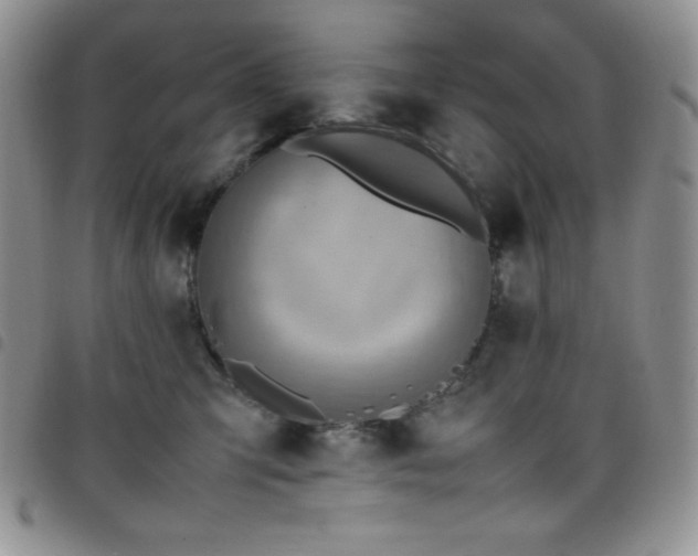 X0000099230423200804241456