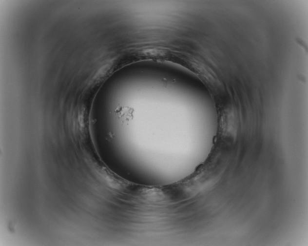 X0000099230424200804241456