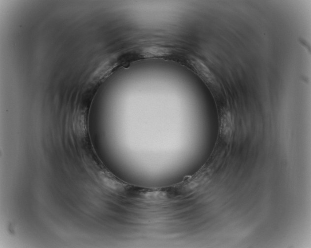 X0000099230426200804241456