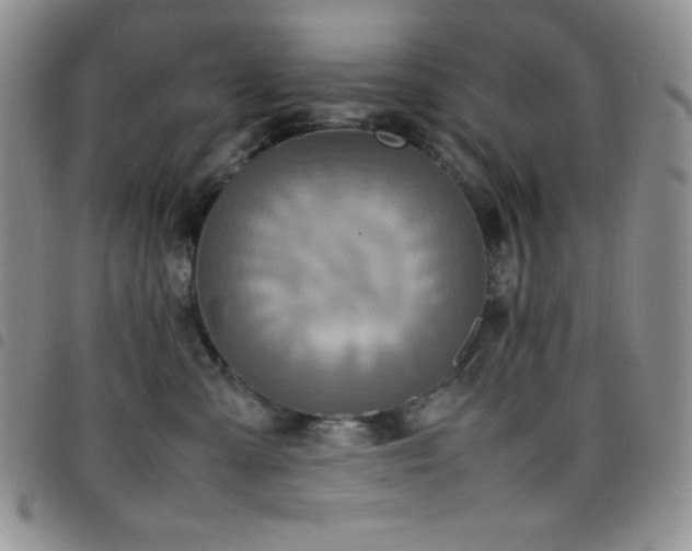 X0000099230427200804241456