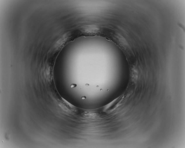 X0000099230428200804241456