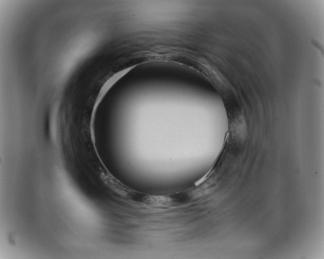 X0000099230429200804241456