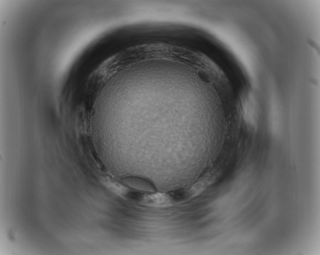 X0000099230431200804241456