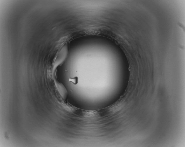 X0000099230432200804241456