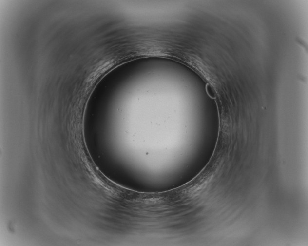 X0000099230433200804241456