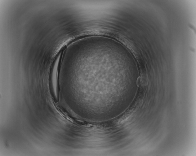 X0000099230434200804241456