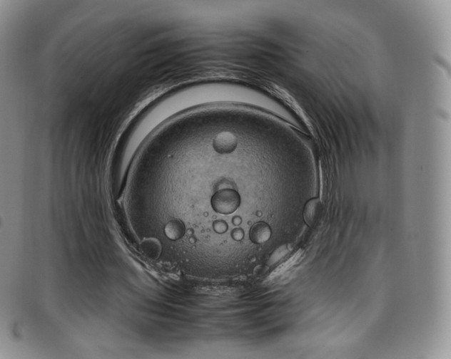 X0000099230435200804241456