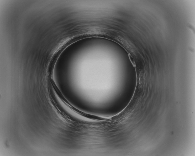 X0000099230436200804241456