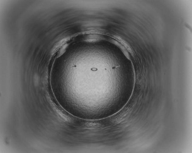 X0000099230437200804241456