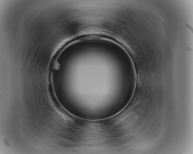 X0000099230438200804241456