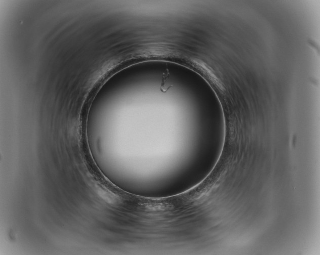 X0000099230439200804241456