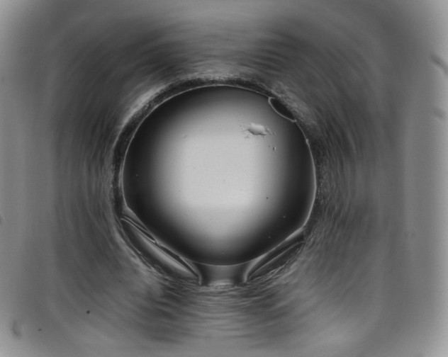 X0000099230440200804241456