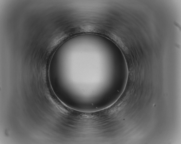 X0000099230442200804241456