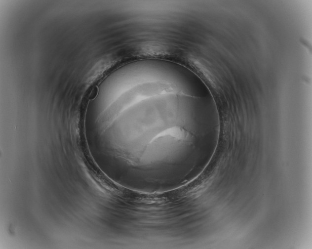 X0000099230443200804241456