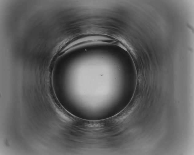 X0000099230445200804241456