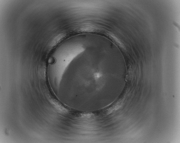 X0000099230446200804241456