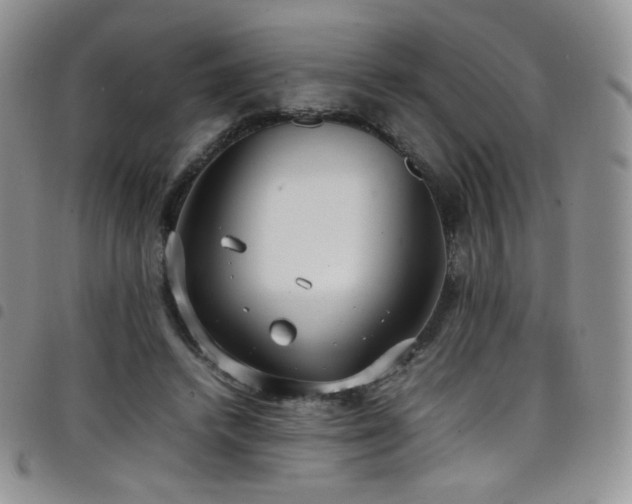 X0000099230448200804241456