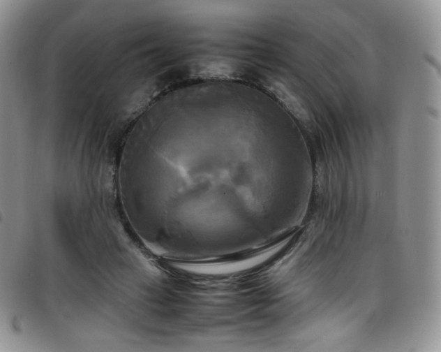 X0000099230449200804241456