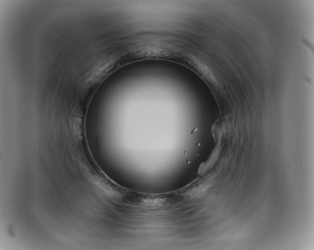 X0000099230450200804241456