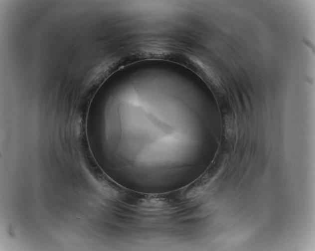 X0000099230451200804241456