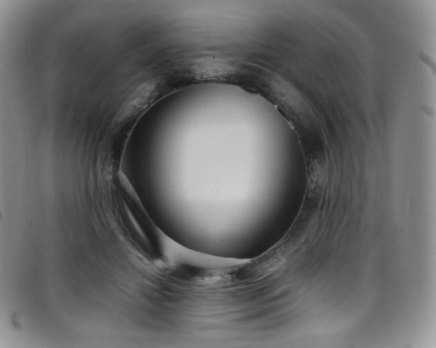 X0000099230452200804241456