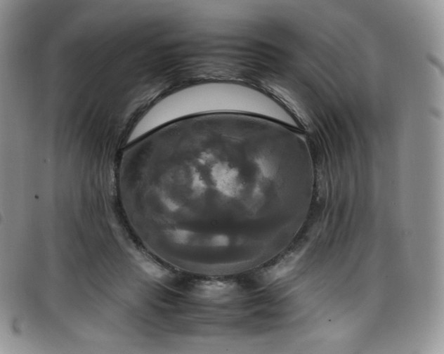 X0000099230453200804241456