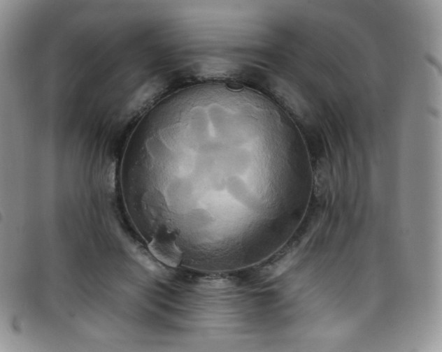 X0000099230454200804241456