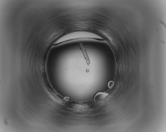 X0000099230455200804241456